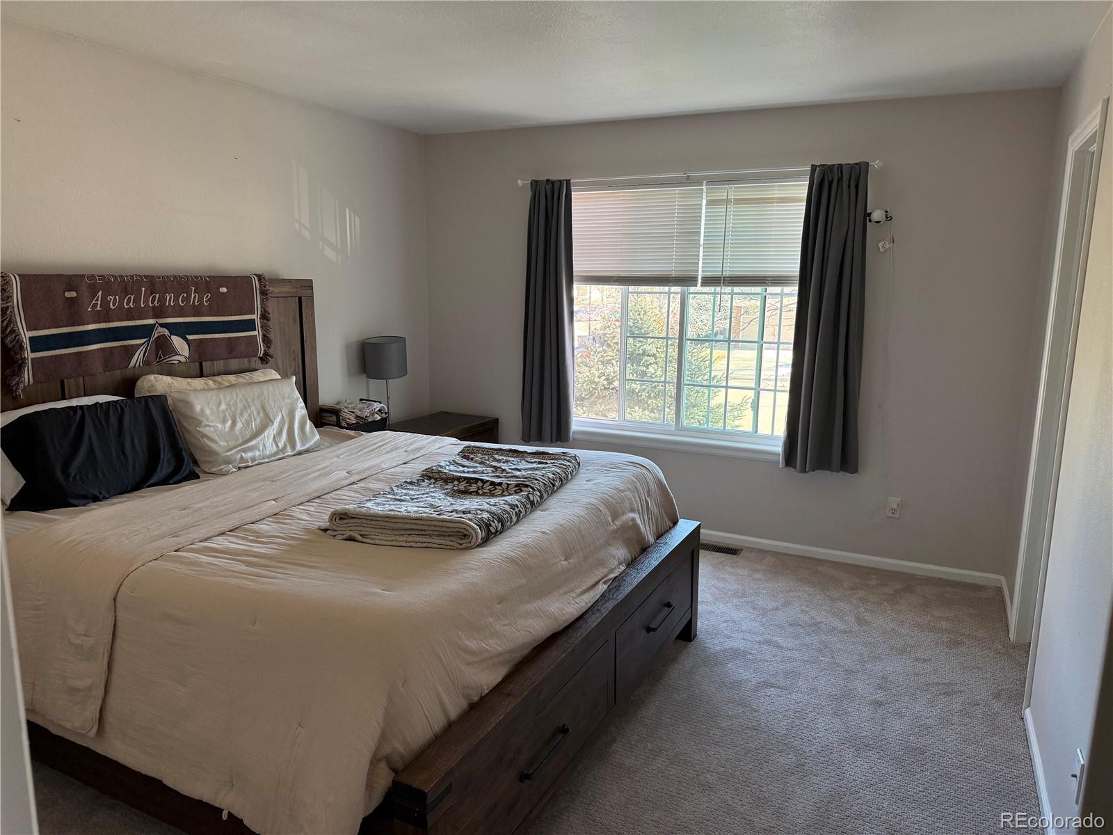 MLS Image #6 for 3630  morning glory drive,castle rock, Colorado
