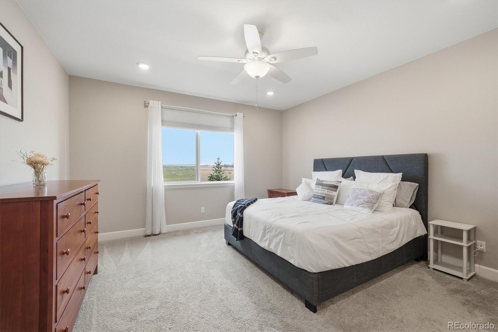 MLS Image #15 for 744  penstemon drive,henderson, Colorado