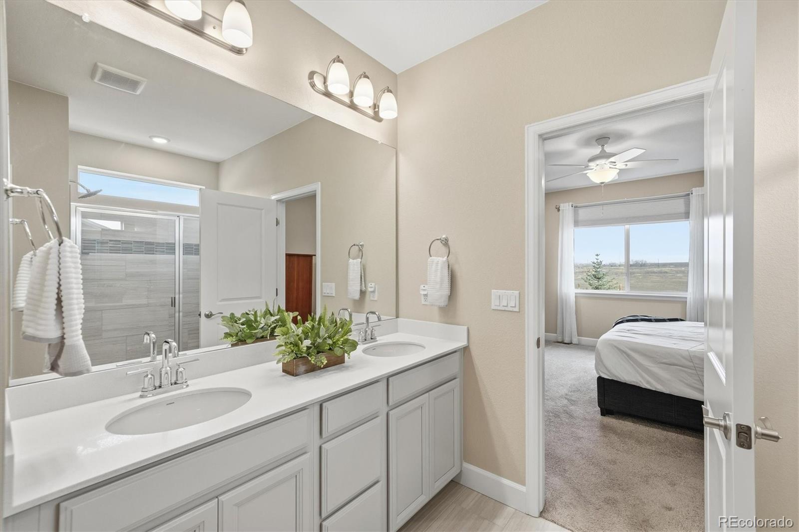 MLS Image #19 for 744  penstemon drive,henderson, Colorado