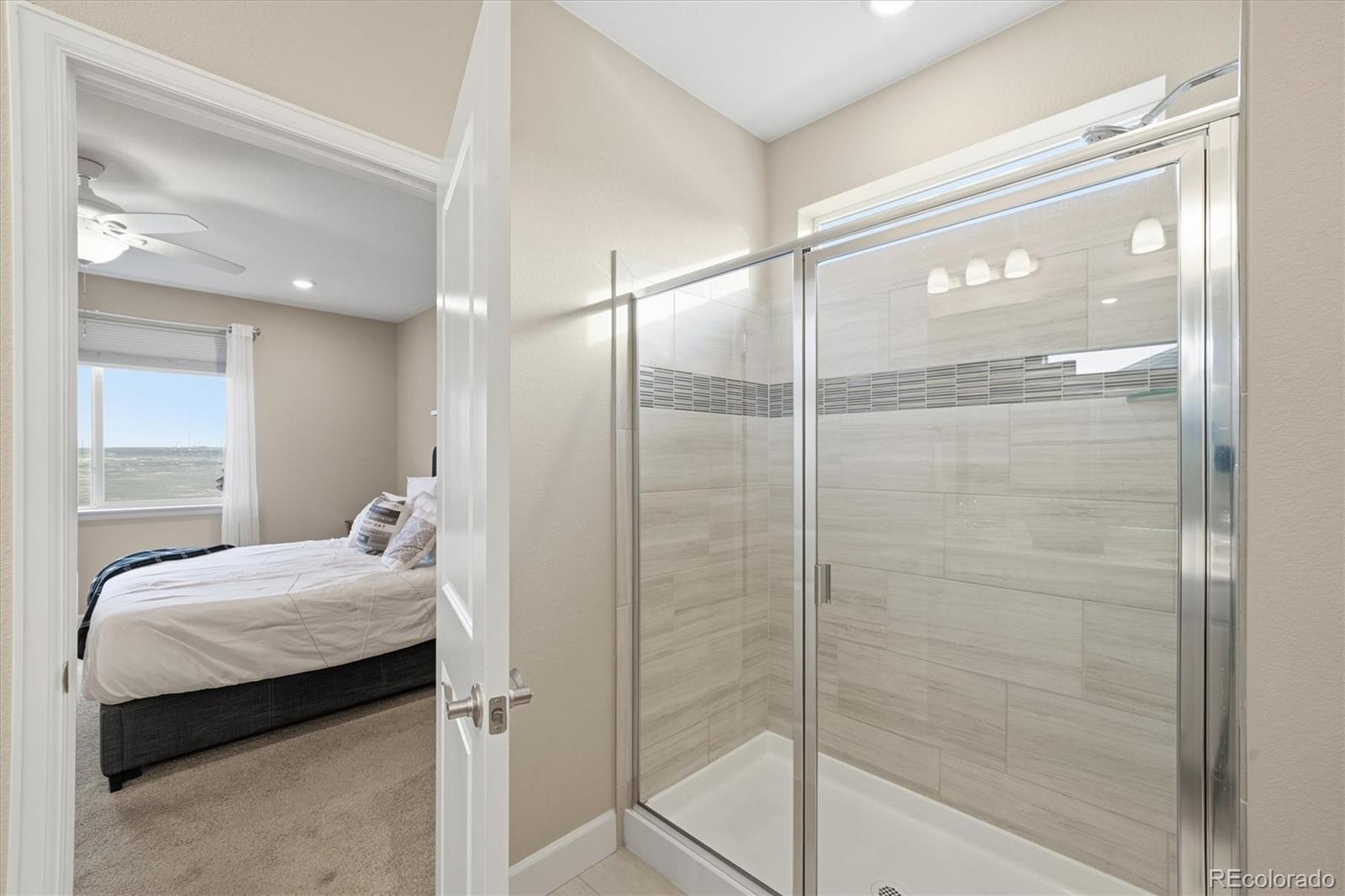 MLS Image #20 for 744  penstemon drive,henderson, Colorado