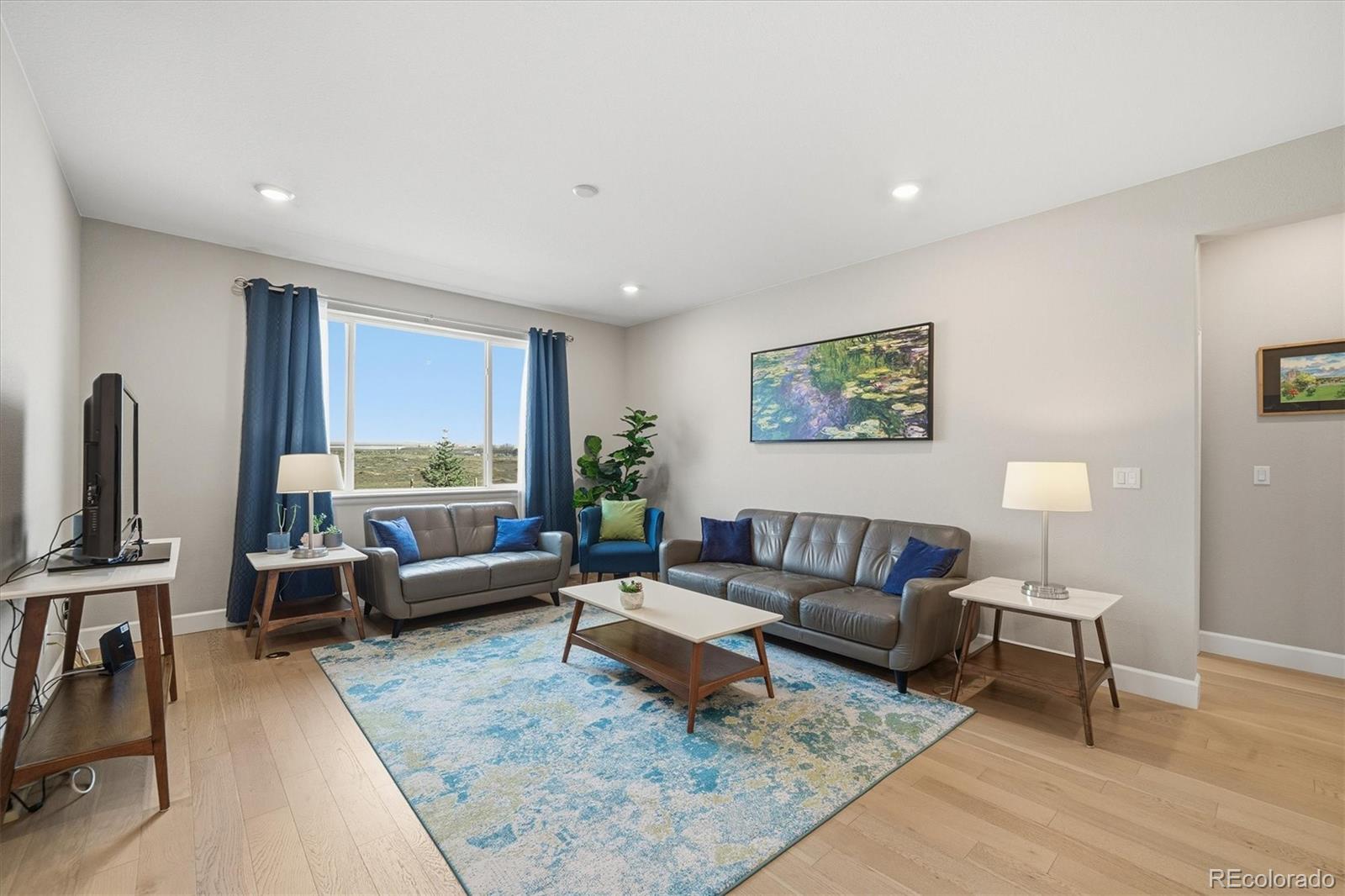MLS Image #9 for 744  penstemon drive,henderson, Colorado