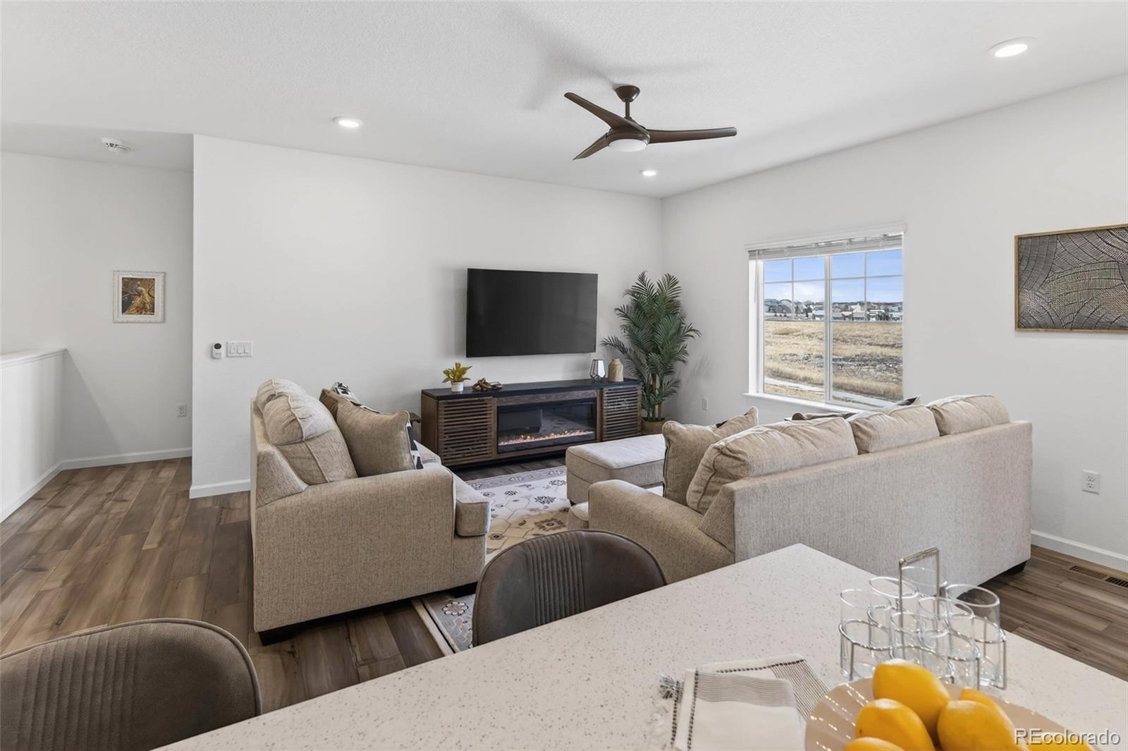 MLS Image #10 for 18197  martinello drive,parker, Colorado