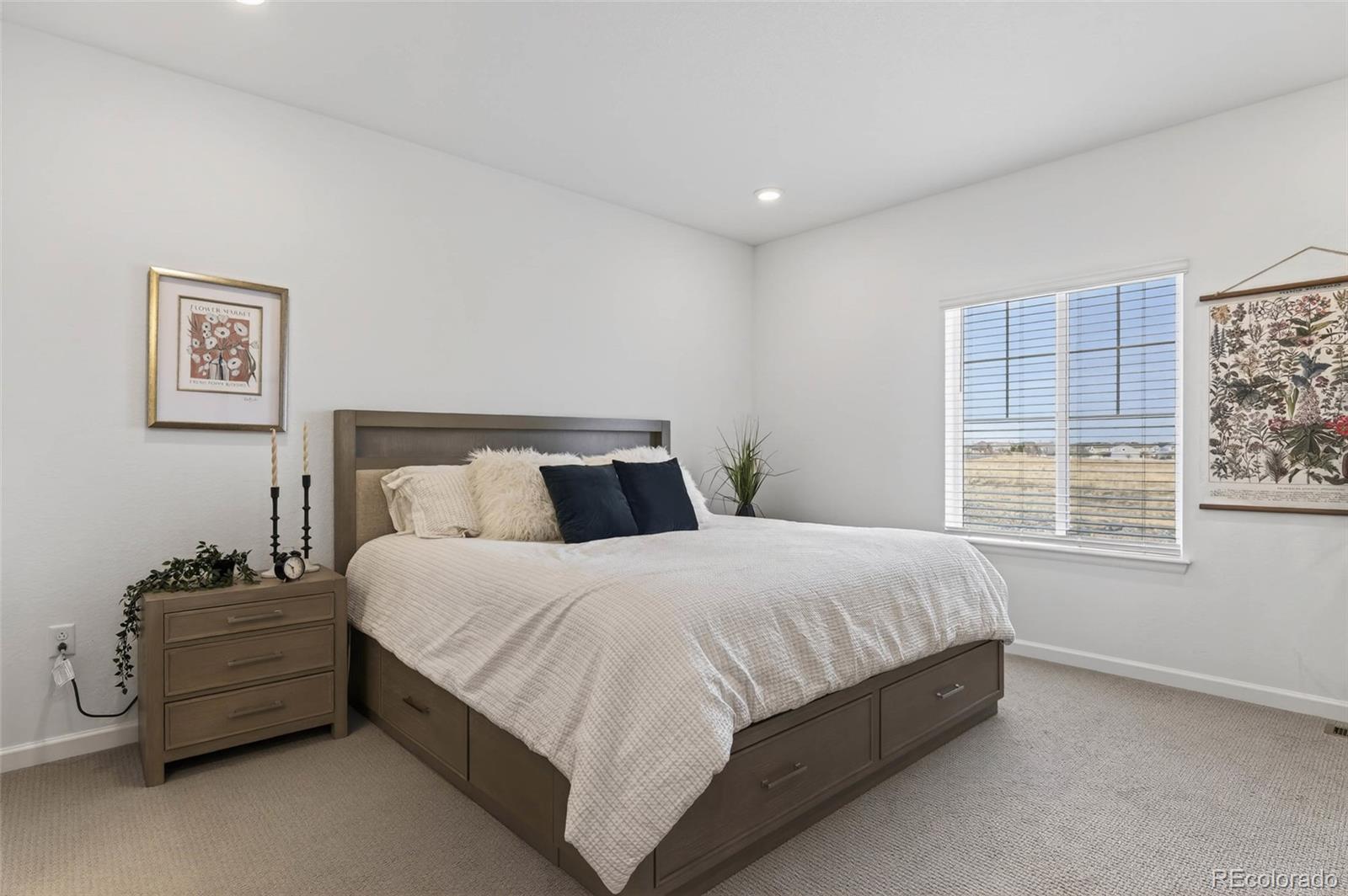 MLS Image #15 for 18197  martinello drive,parker, Colorado