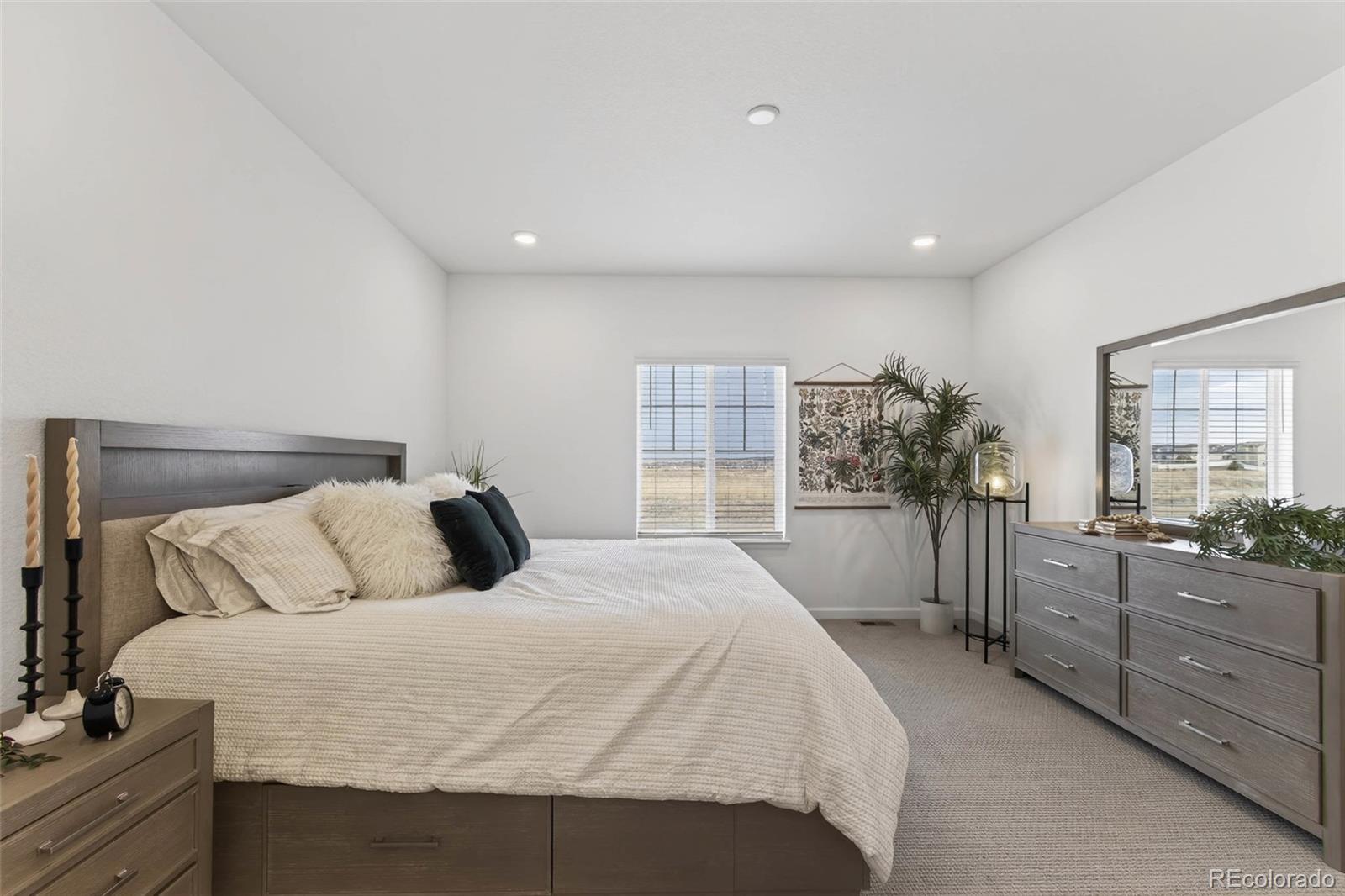 MLS Image #16 for 18197  martinello drive,parker, Colorado