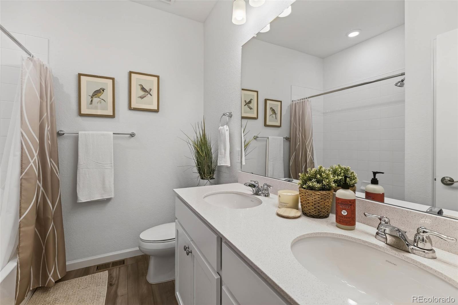 MLS Image #23 for 18197  martinello drive,parker, Colorado