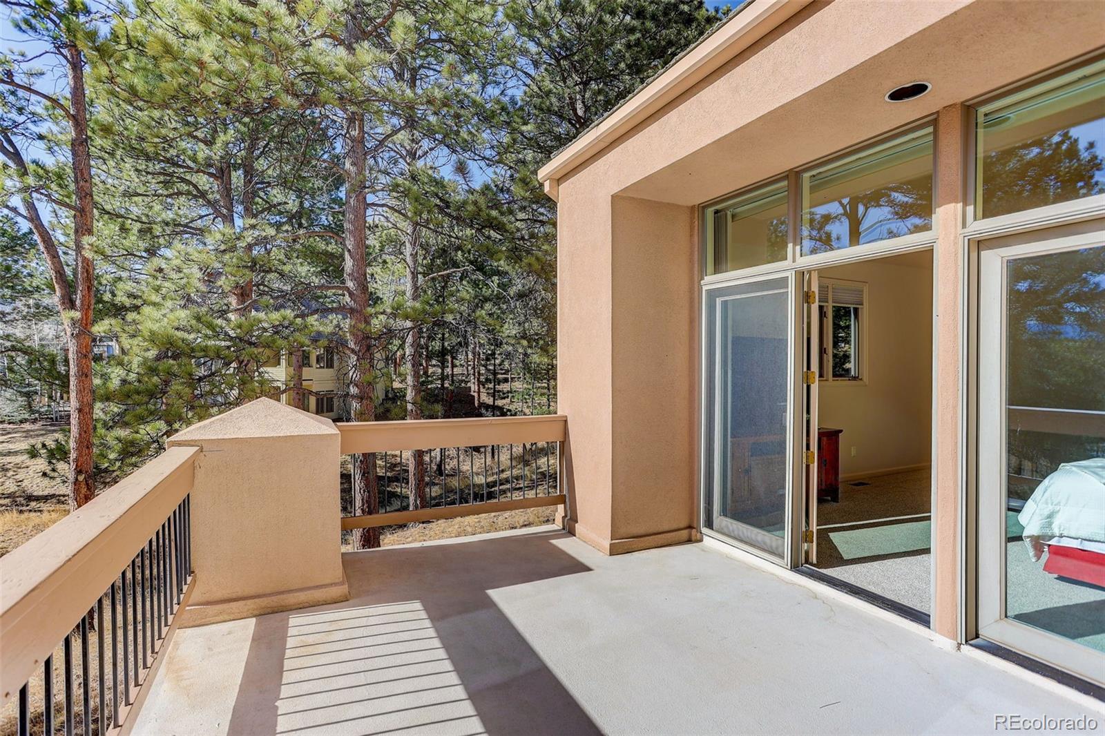 MLS Image #10 for 30441  heavenly court,evergreen, Colorado