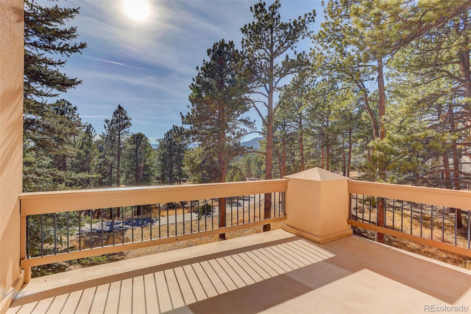 MLS Image #17 for 30441  heavenly court,evergreen, Colorado