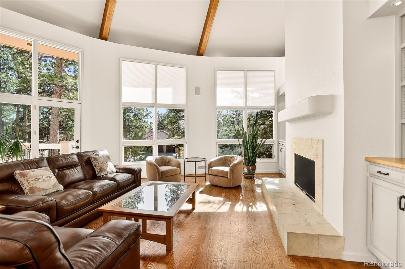 MLS Image #7 for 30441  heavenly court,evergreen, Colorado