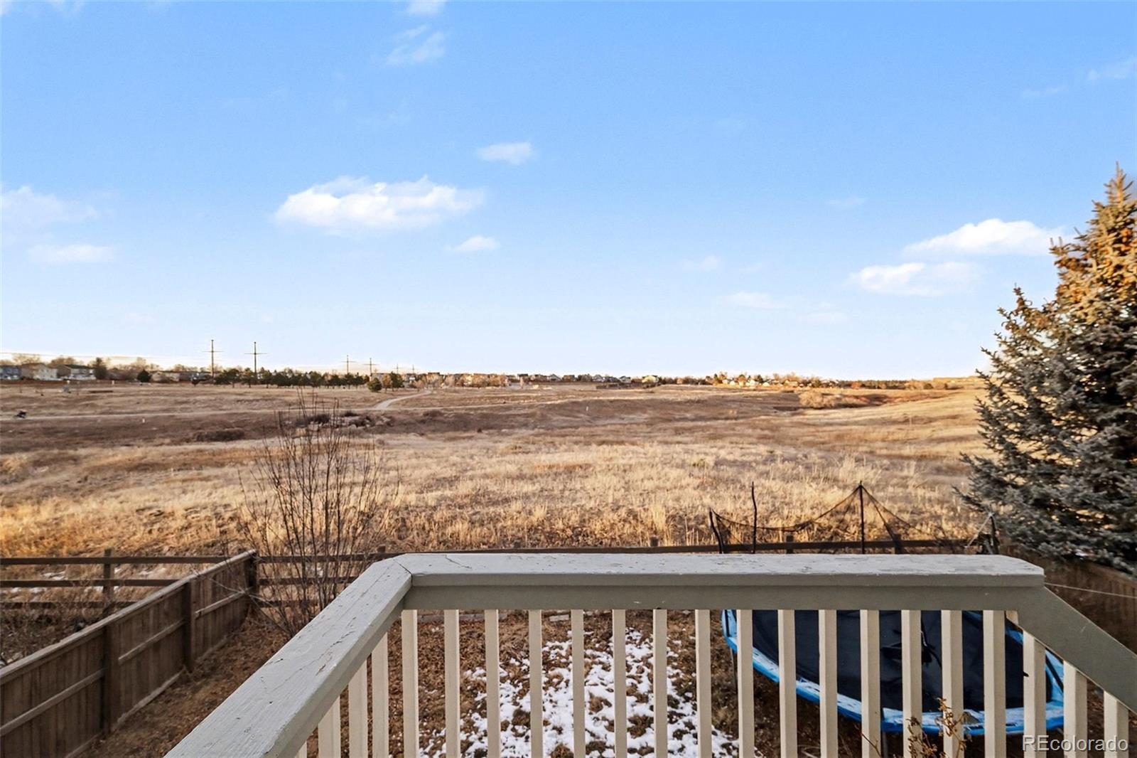 MLS Image #19 for 5965  raleigh circle,castle rock, Colorado