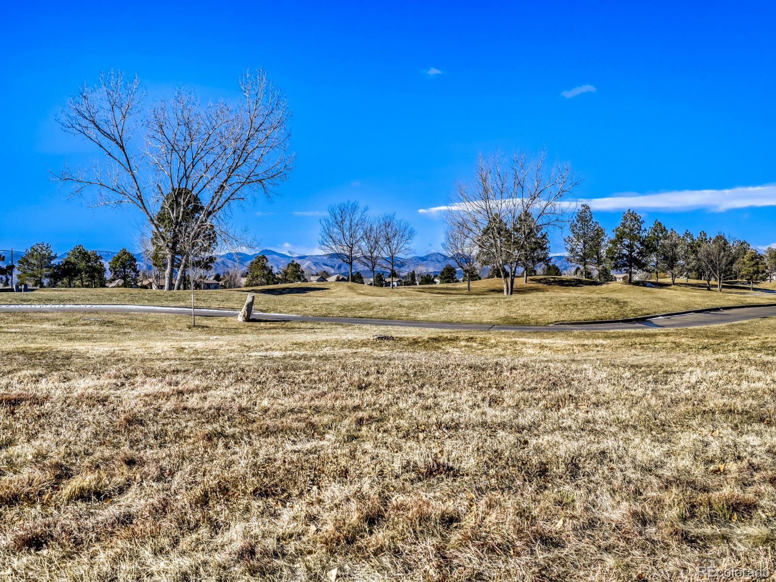 MLS Image #26 for 8893  tappy toorie circle ,highlands ranch, Colorado