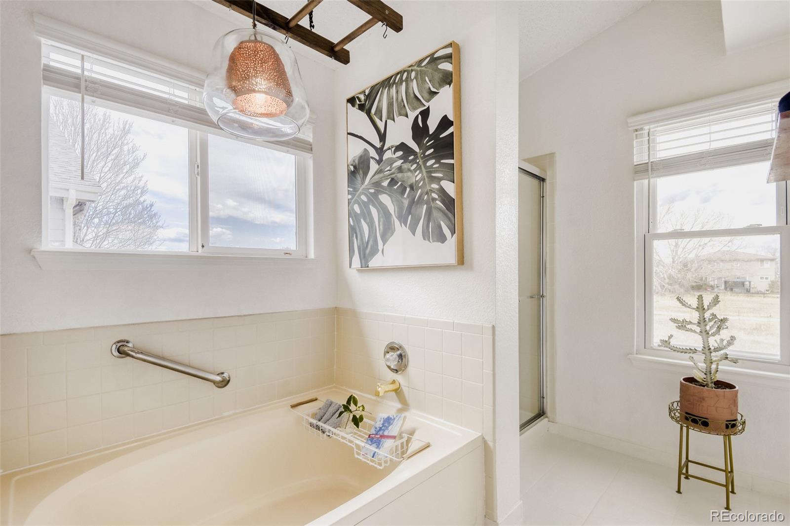 MLS Image #17 for 1188  english sparrow trail,highlands ranch, Colorado