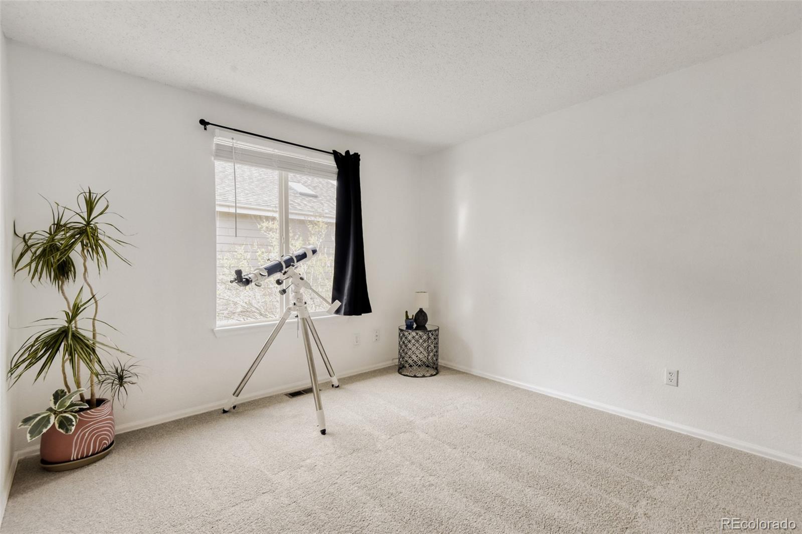 MLS Image #21 for 1188  english sparrow trail,highlands ranch, Colorado