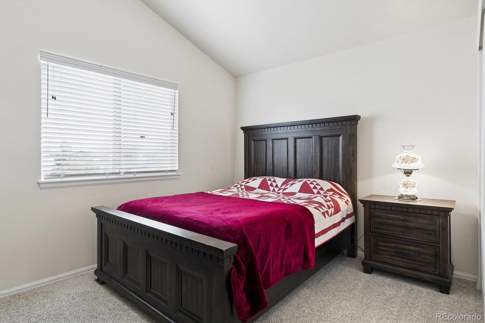 MLS Image #20 for 9064  goosander way,littleton, Colorado
