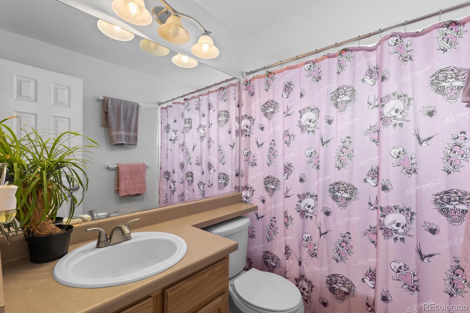 MLS Image #10 for 11073 e 115th avenue,commerce city, Colorado