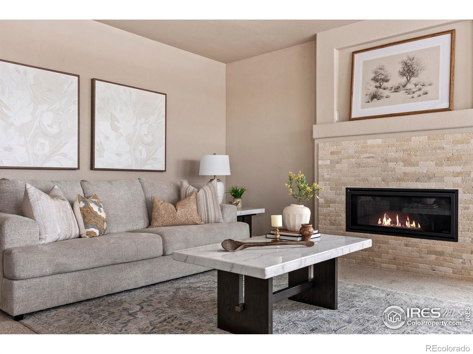 MLS Image #10 for 278  mt harvard avenue,severance, Colorado