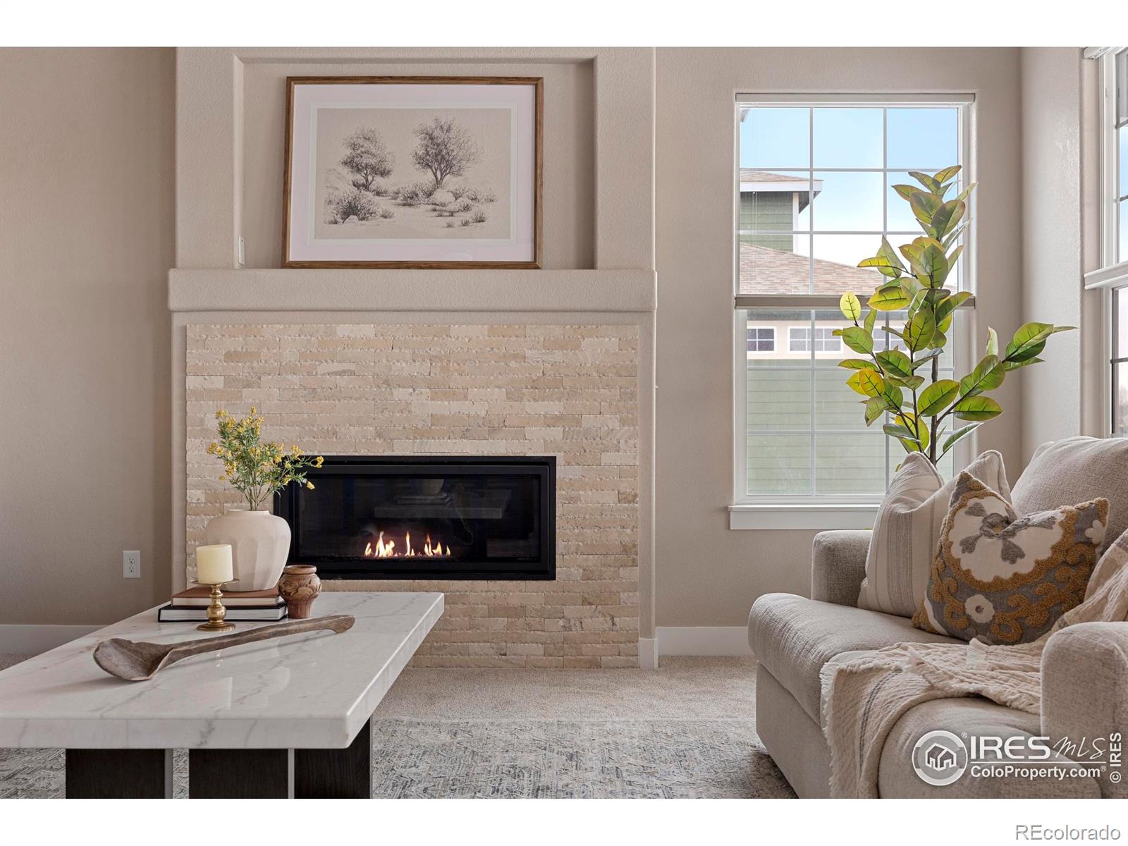 MLS Image #11 for 278  mt harvard avenue,severance, Colorado