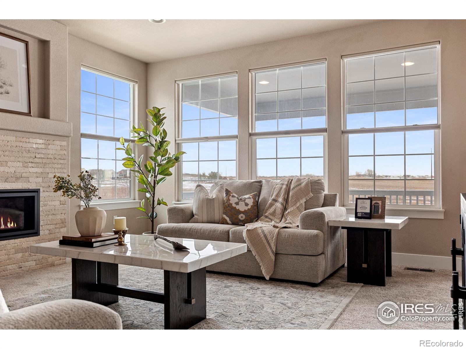 MLS Image #12 for 278  mt harvard avenue,severance, Colorado