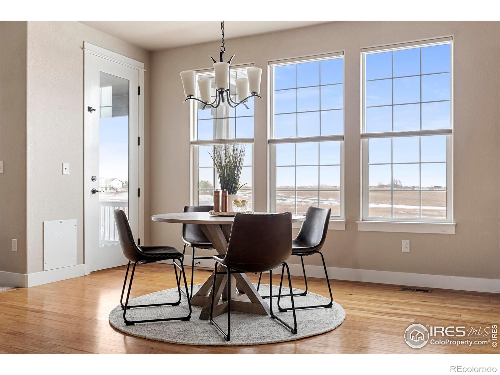 MLS Image #4 for 278  mt harvard avenue,severance, Colorado