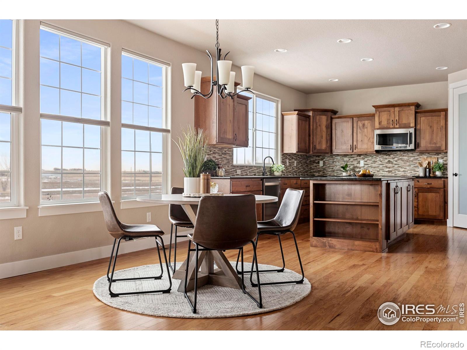 MLS Image #5 for 278  mt harvard avenue,severance, Colorado