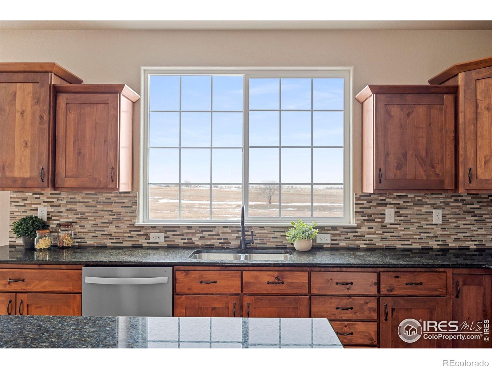 MLS Image #8 for 278  mt harvard avenue,severance, Colorado