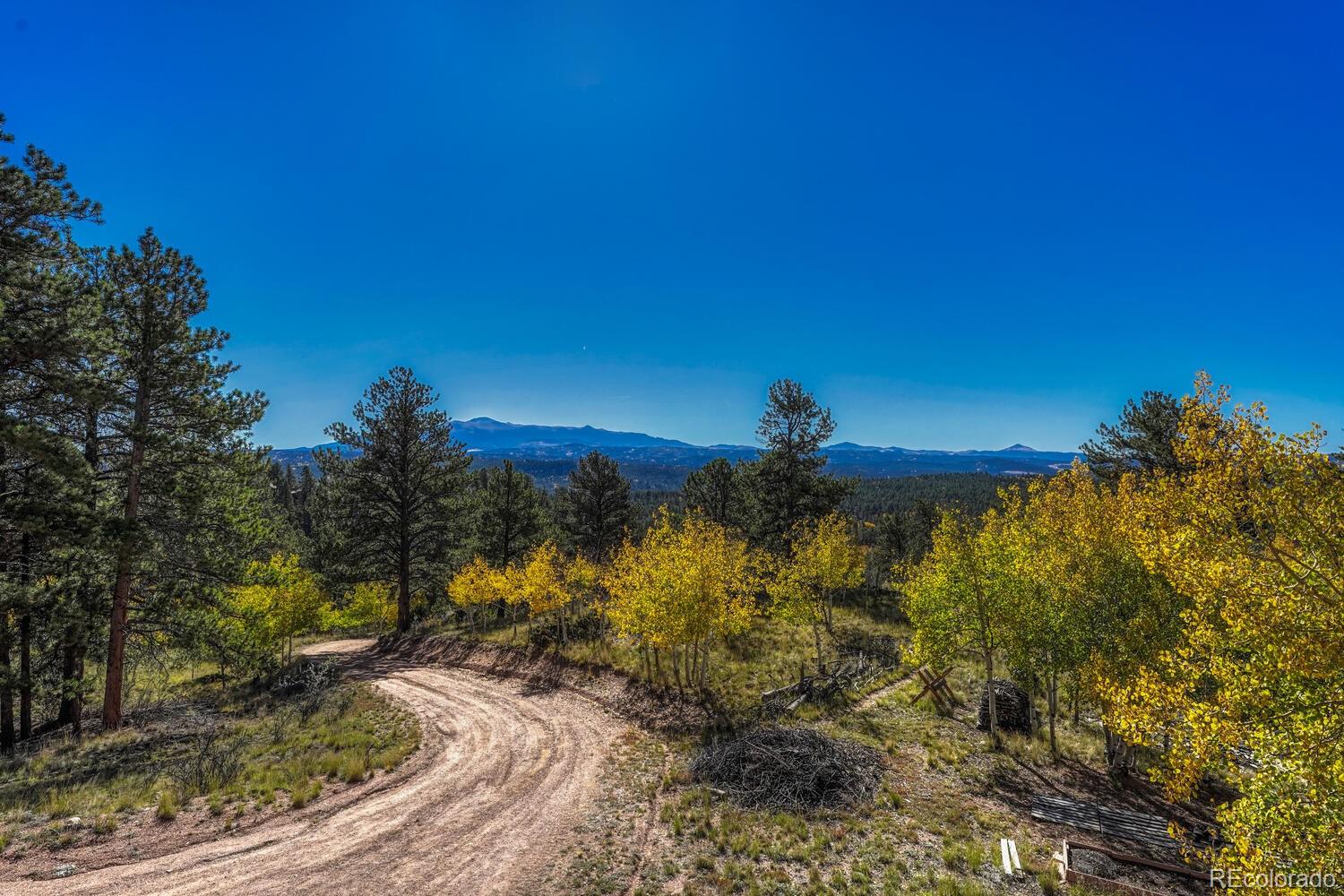 MLS Image #10 for 145  crestone circle,florissant, Colorado