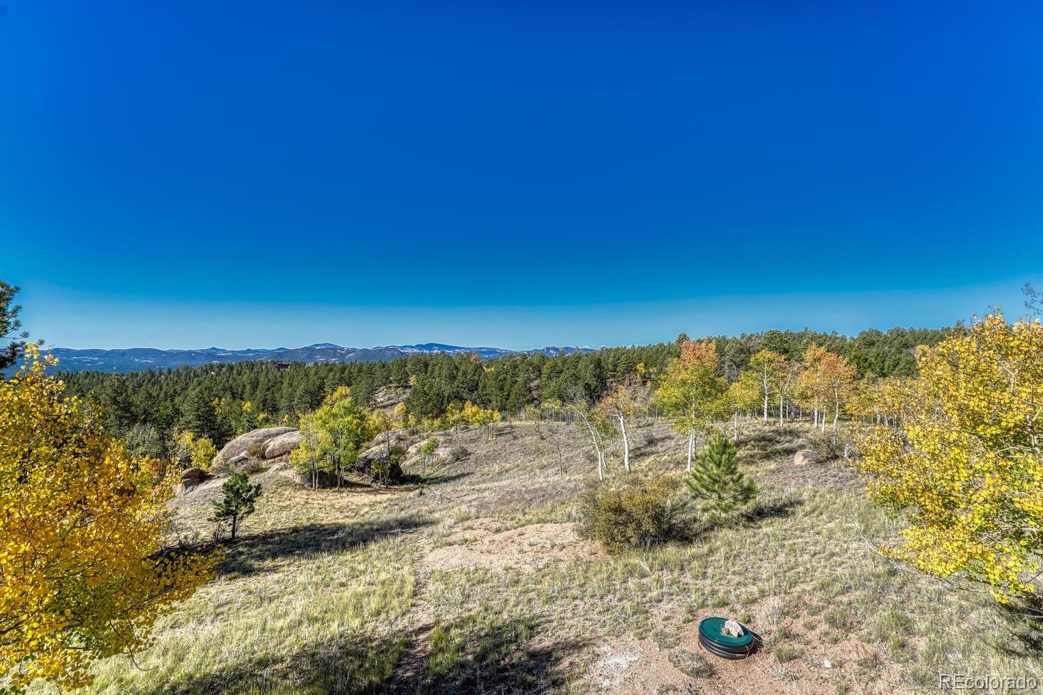 MLS Image #12 for 145  crestone circle,florissant, Colorado