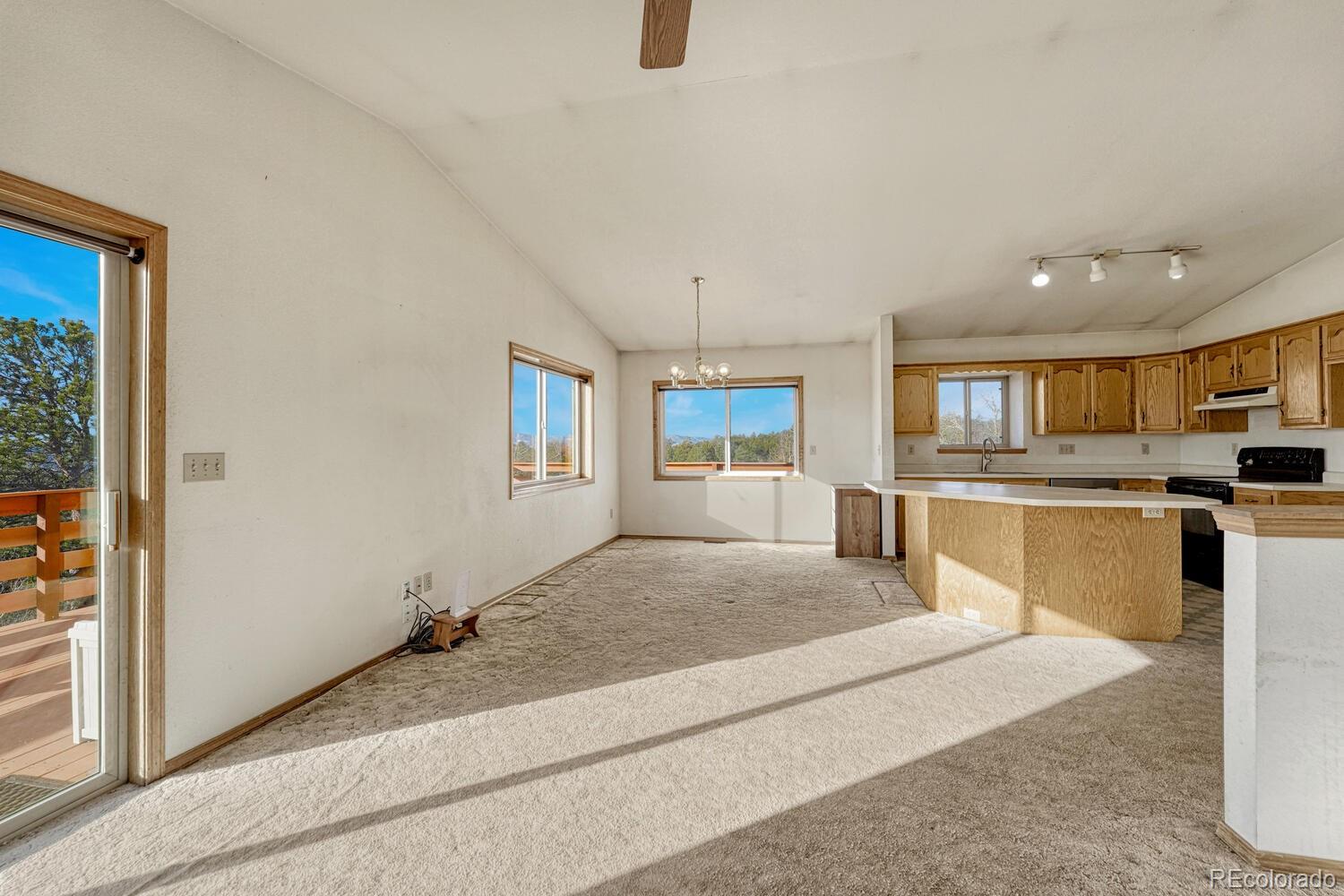MLS Image #14 for 145  crestone circle,florissant, Colorado