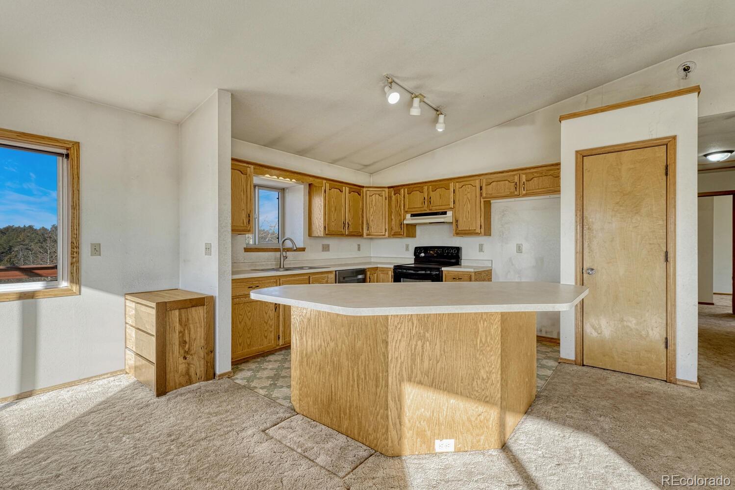 MLS Image #15 for 145  crestone circle,florissant, Colorado