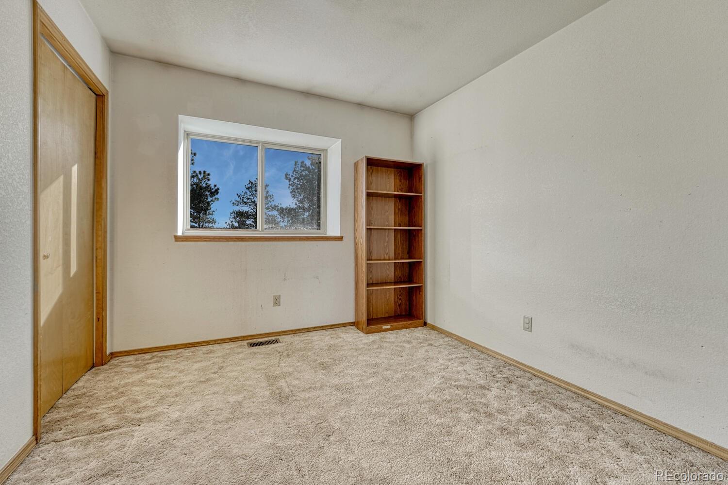 MLS Image #30 for 145  crestone circle,florissant, Colorado