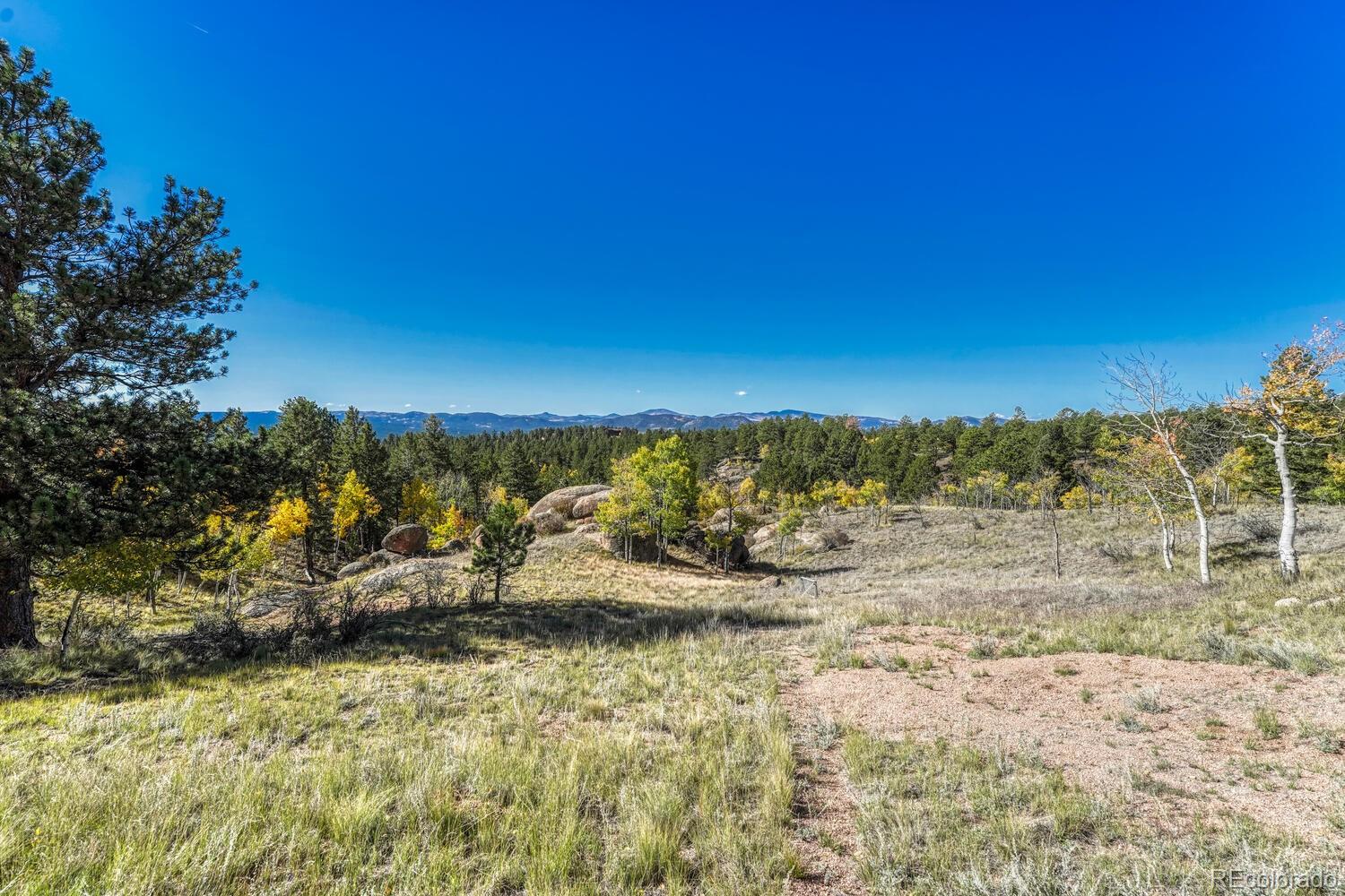 MLS Image #36 for 145  crestone circle,florissant, Colorado
