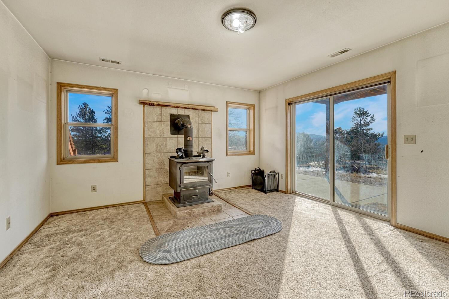MLS Image #39 for 145  crestone circle,florissant, Colorado