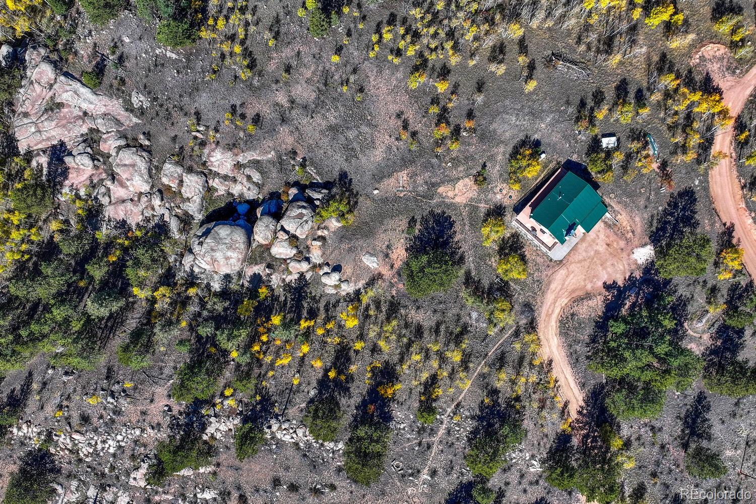 MLS Image #4 for 145  crestone circle,florissant, Colorado