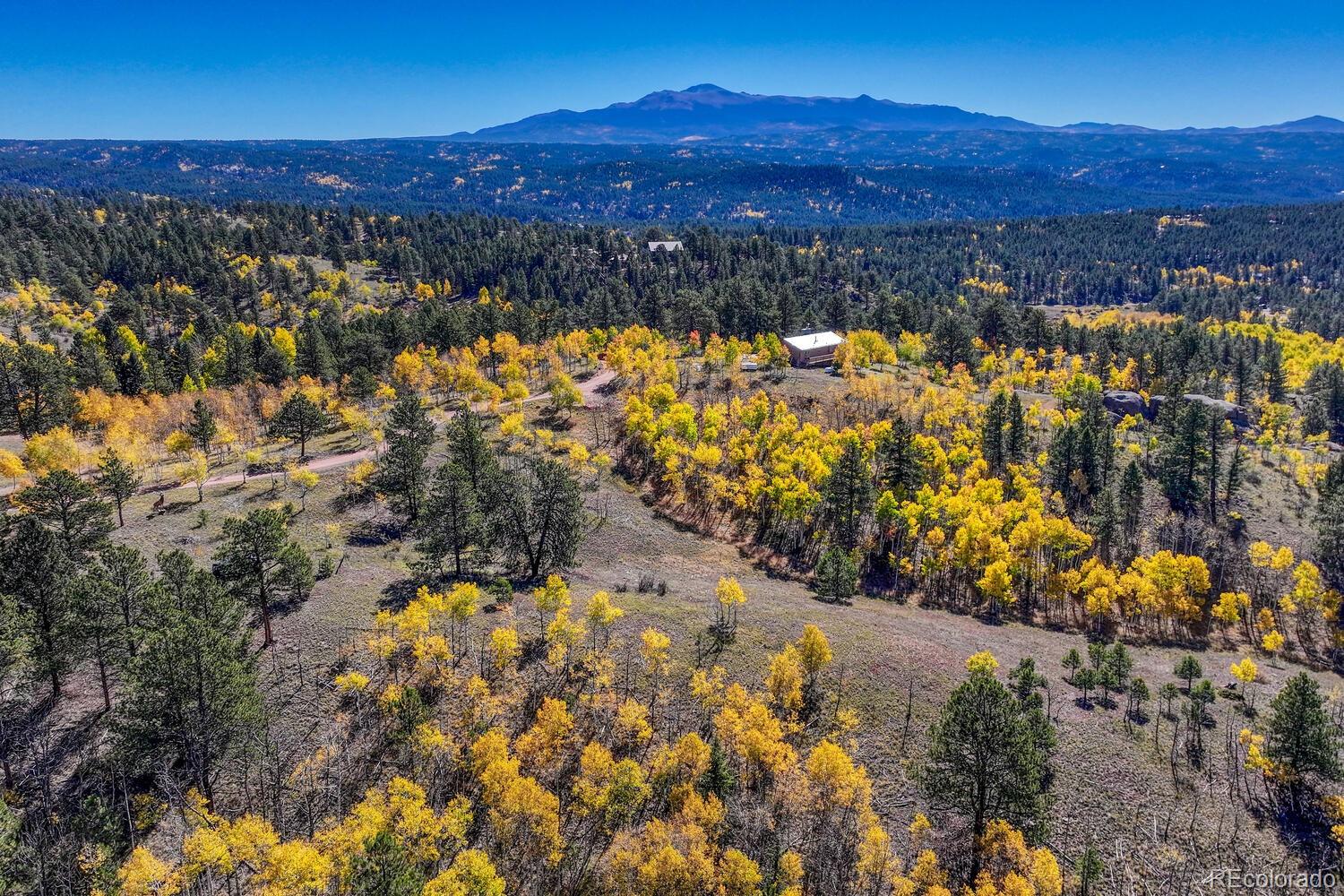 MLS Image #46 for 145  crestone circle,florissant, Colorado