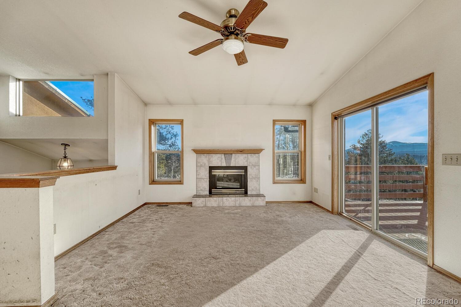 MLS Image #5 for 145  crestone circle,florissant, Colorado
