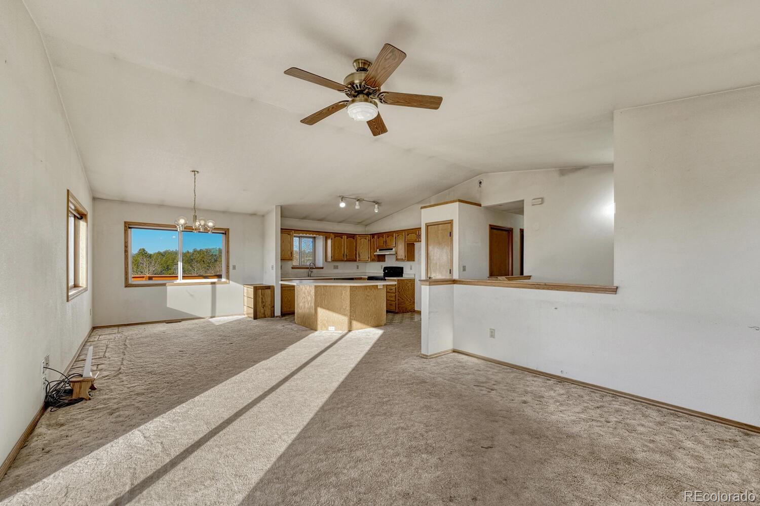 MLS Image #6 for 145  crestone circle,florissant, Colorado