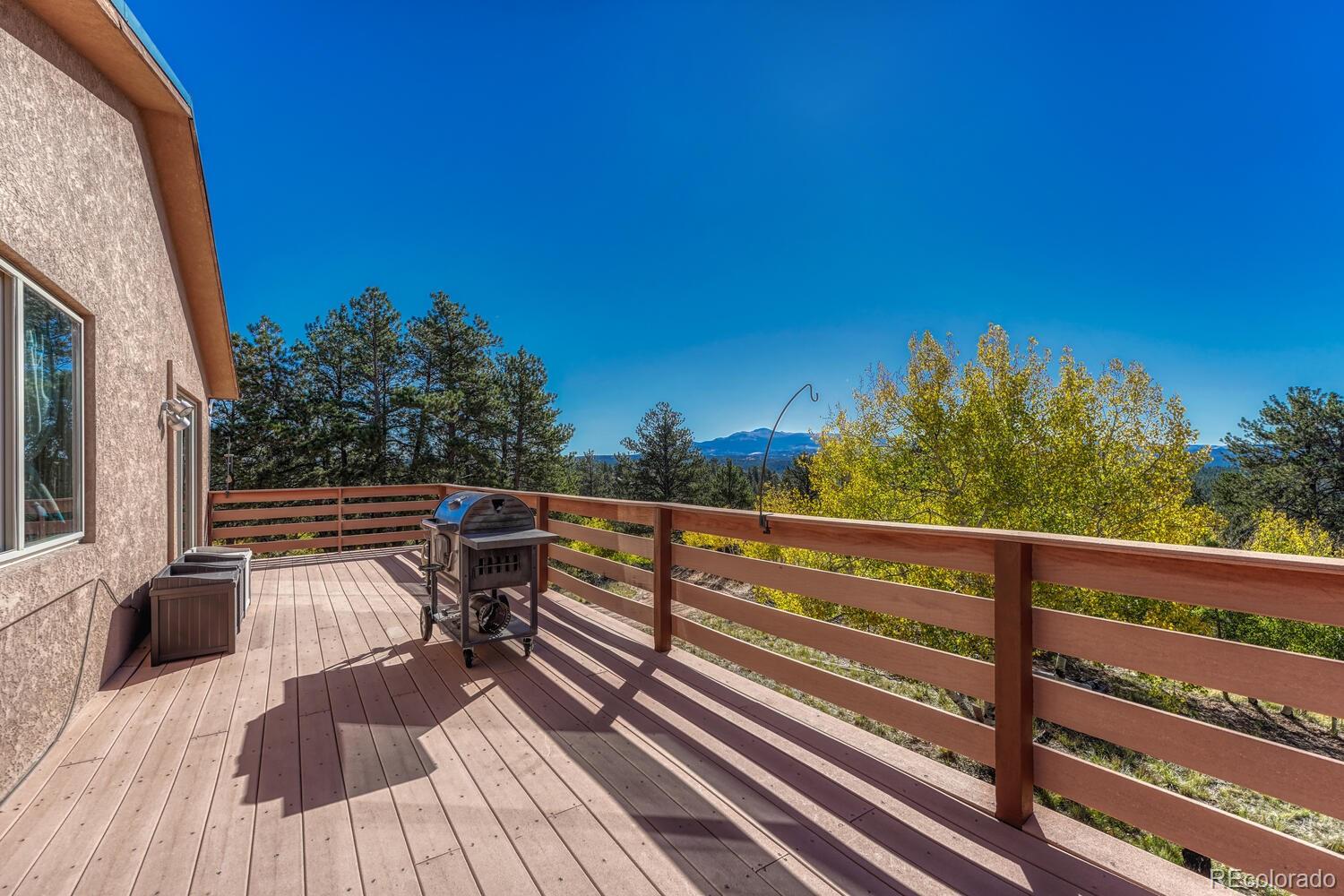MLS Image #8 for 145  crestone circle,florissant, Colorado
