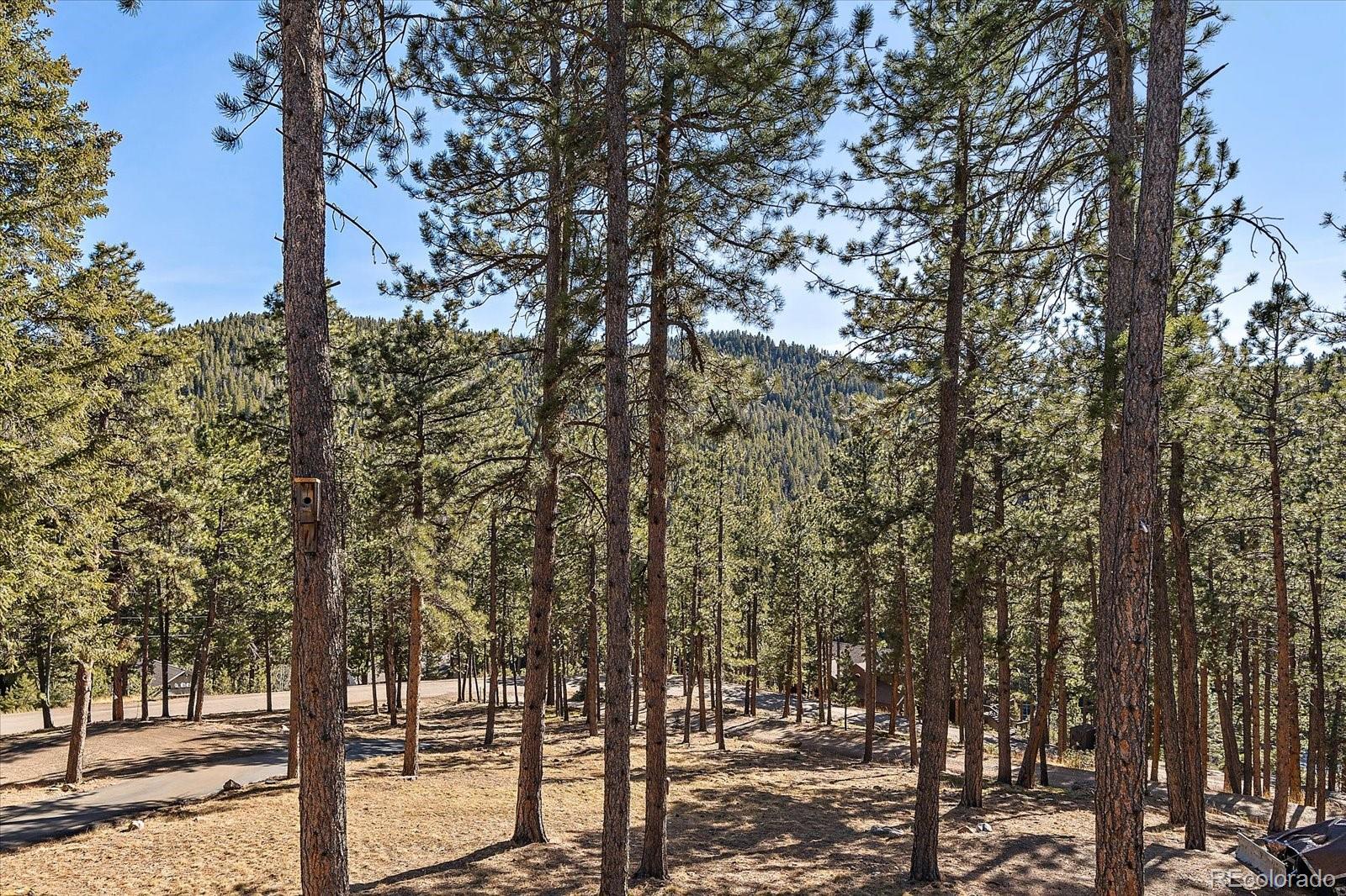MLS Image #37 for 31634  ponderosa way,evergreen, Colorado