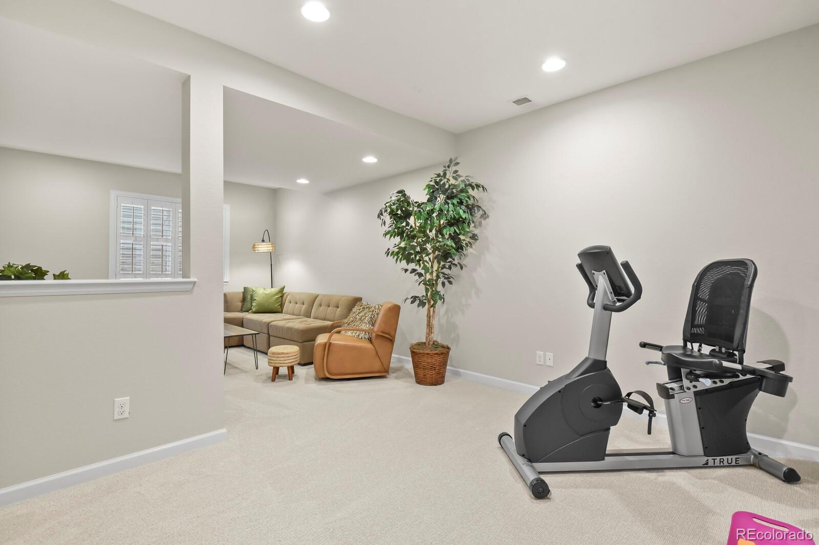 MLS Image #22 for 592  brookhurst avenue,highlands ranch, Colorado