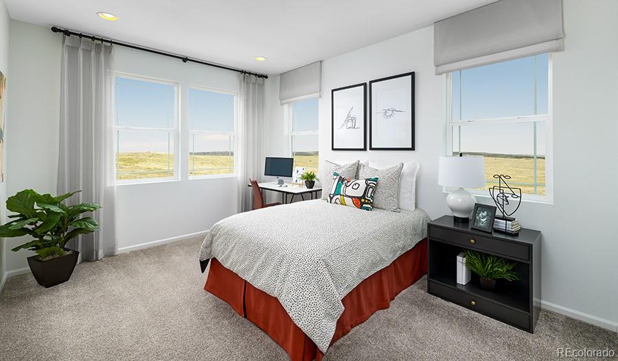 MLS Image #13 for 6562 n malaya street,aurora, Colorado