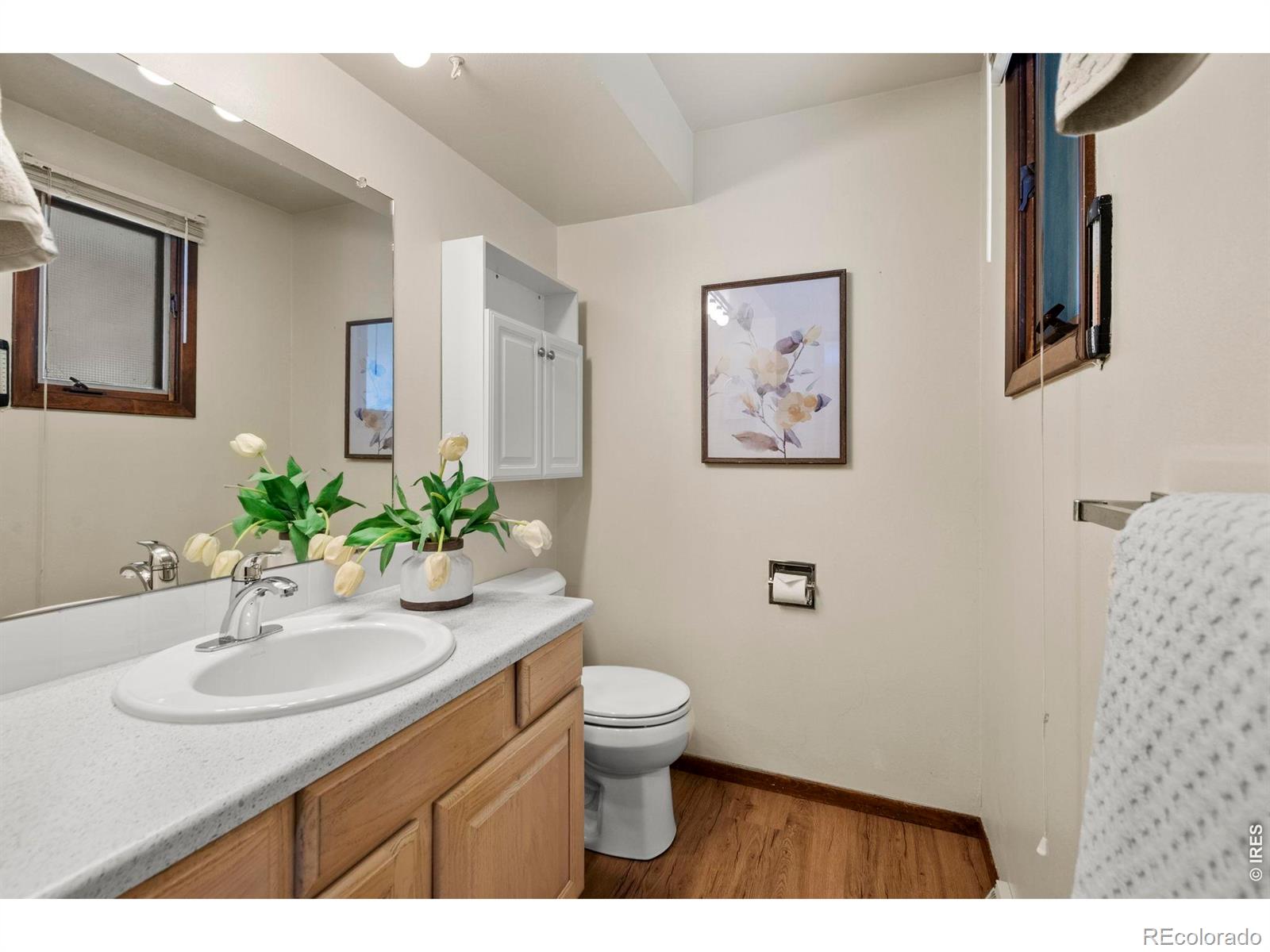 MLS Image #17 for 1327  audubon place,loveland, Colorado