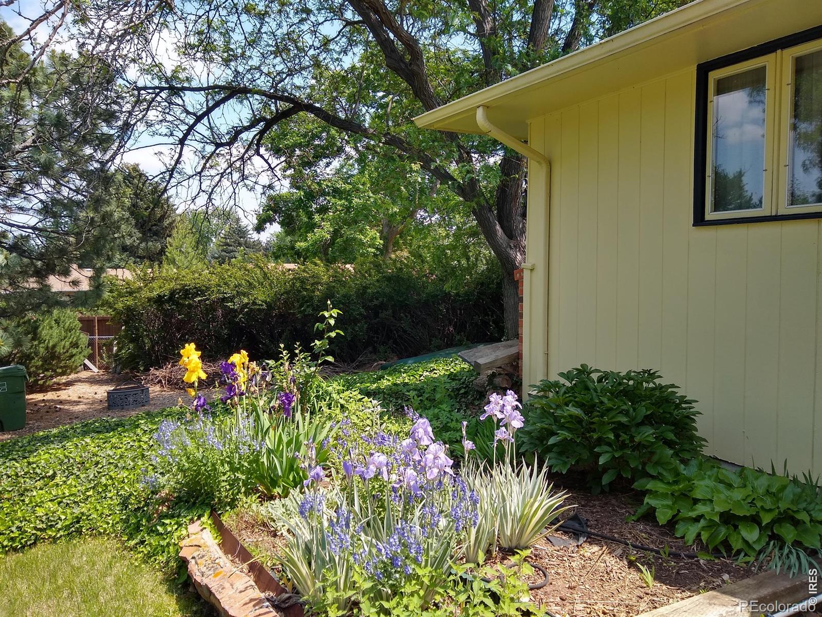 MLS Image #43 for 1327  audubon place,loveland, Colorado