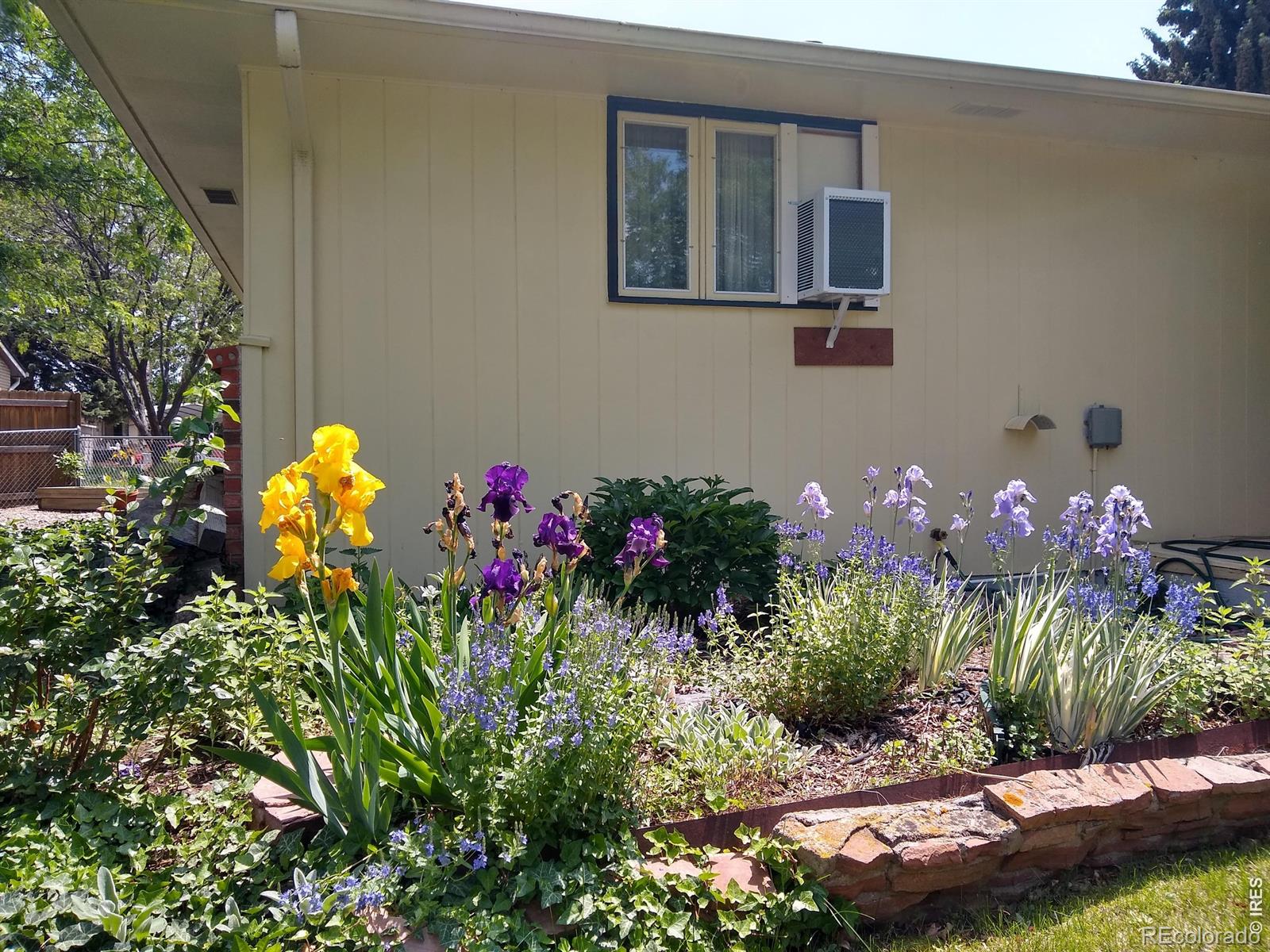 MLS Image #45 for 1327  audubon place,loveland, Colorado