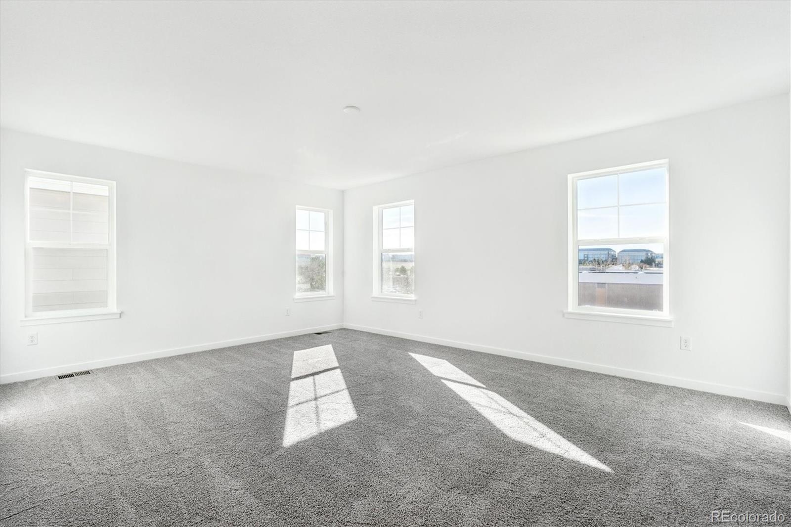 MLS Image #13 for 9116  hayden peak street,englewood, Colorado