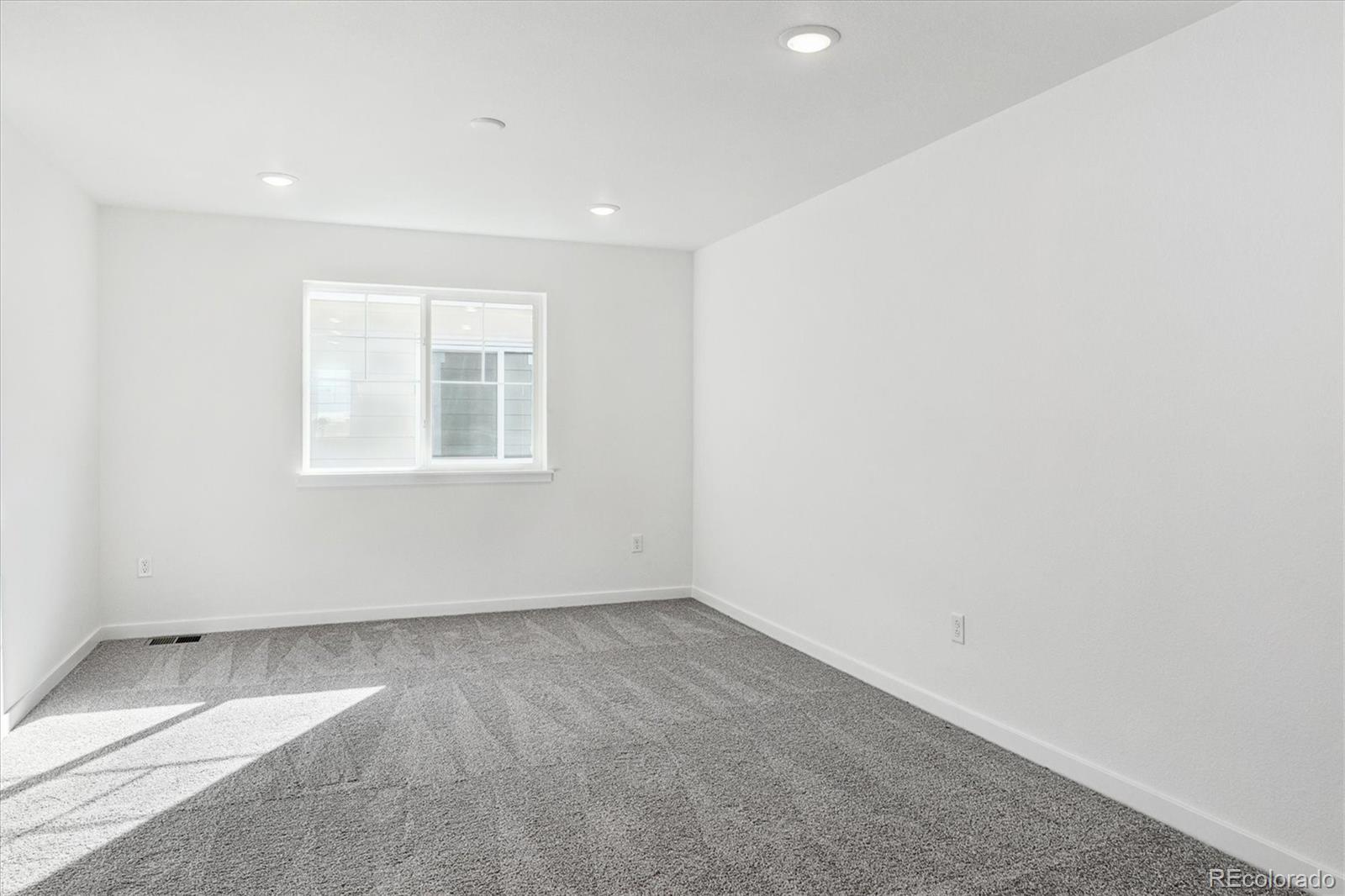MLS Image #8 for 9116  hayden peak street,englewood, Colorado
