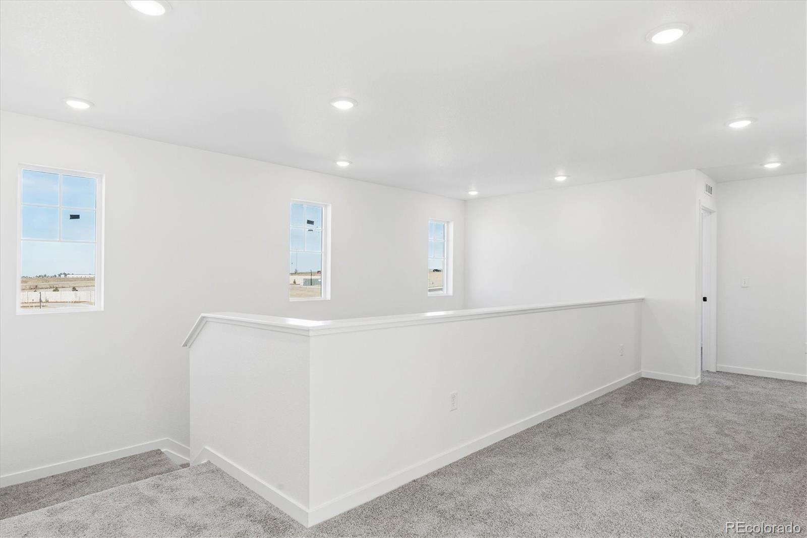 MLS Image #9 for 9116  hayden peak street,englewood, Colorado