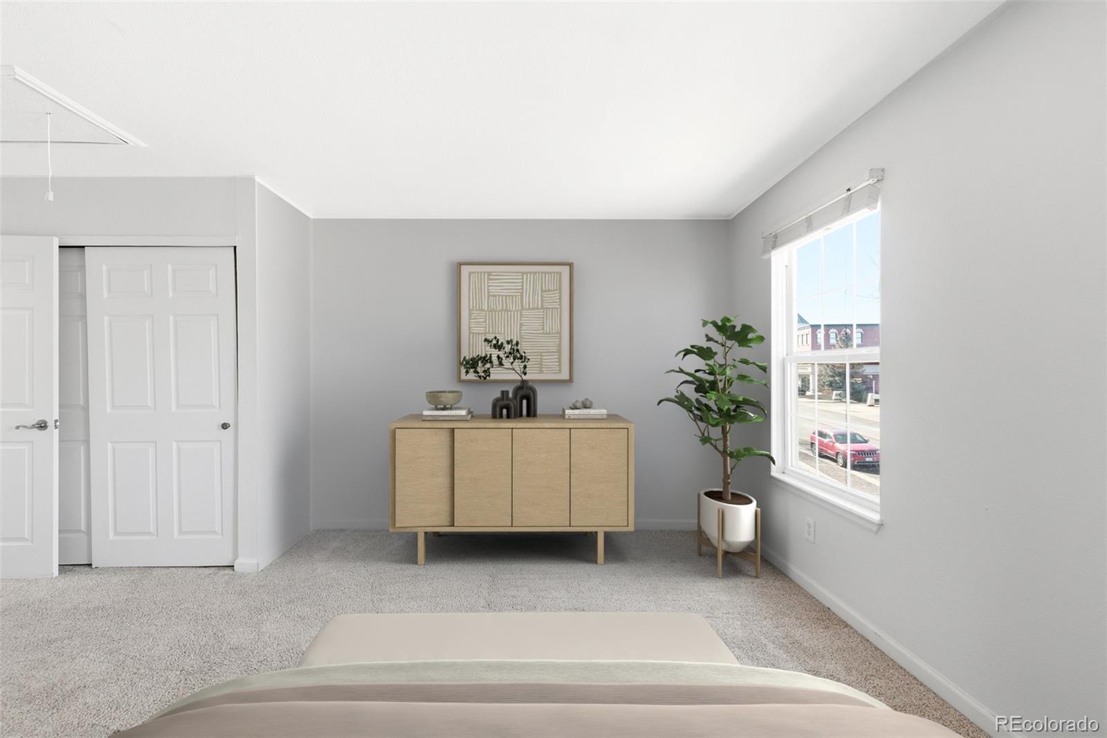 MLS Image #15 for 10846  victorian drive,parker, Colorado