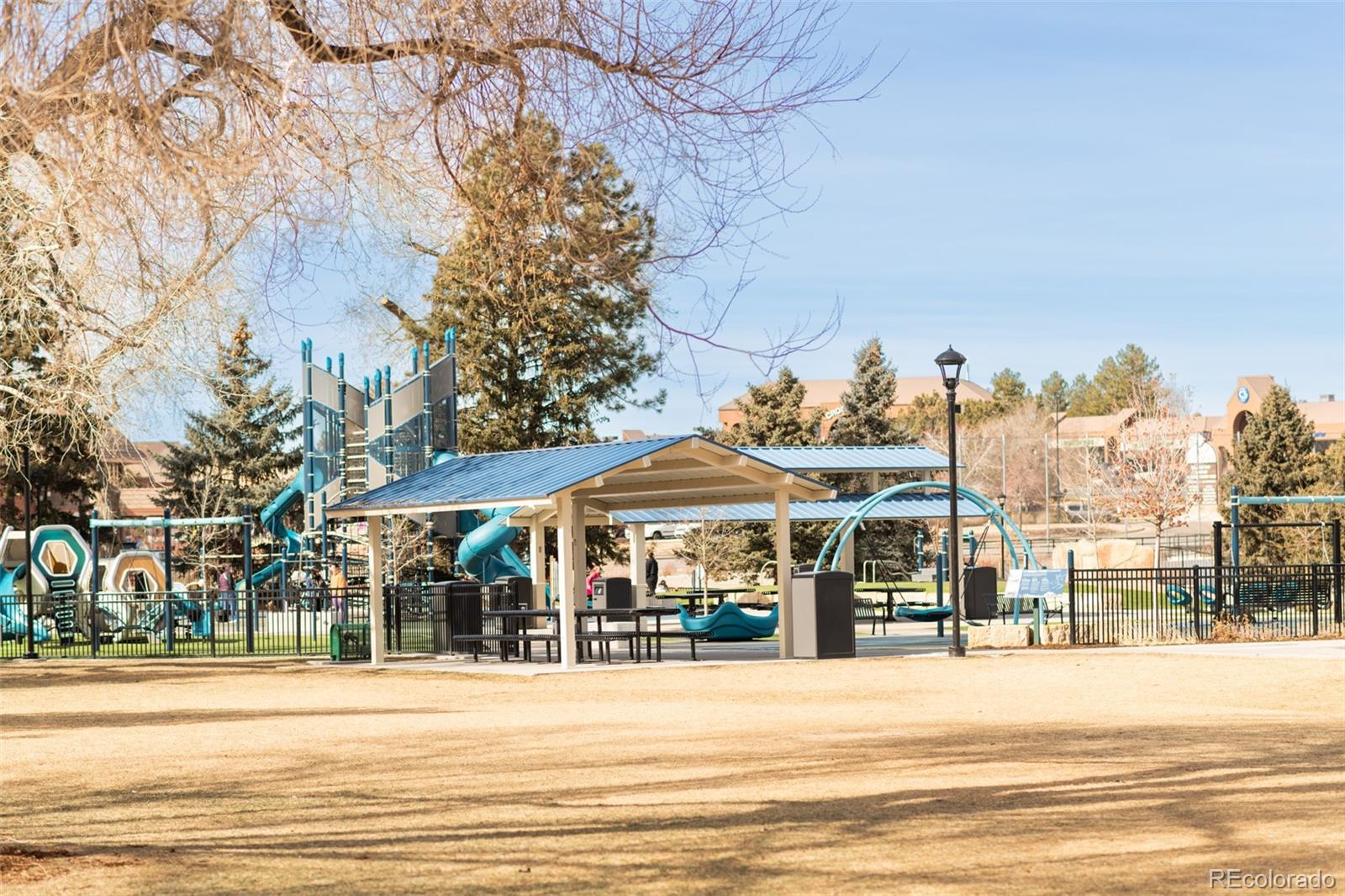 MLS Image #38 for 10846  victorian drive,parker, Colorado
