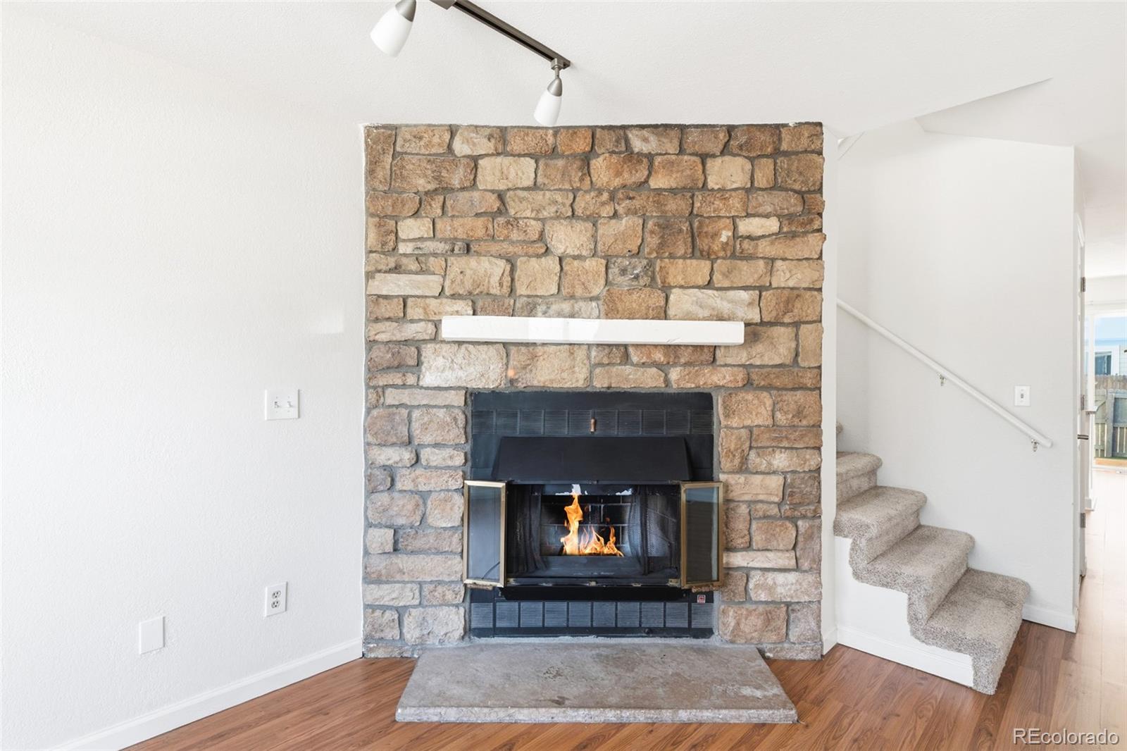 MLS Image #5 for 10846  victorian drive,parker, Colorado
