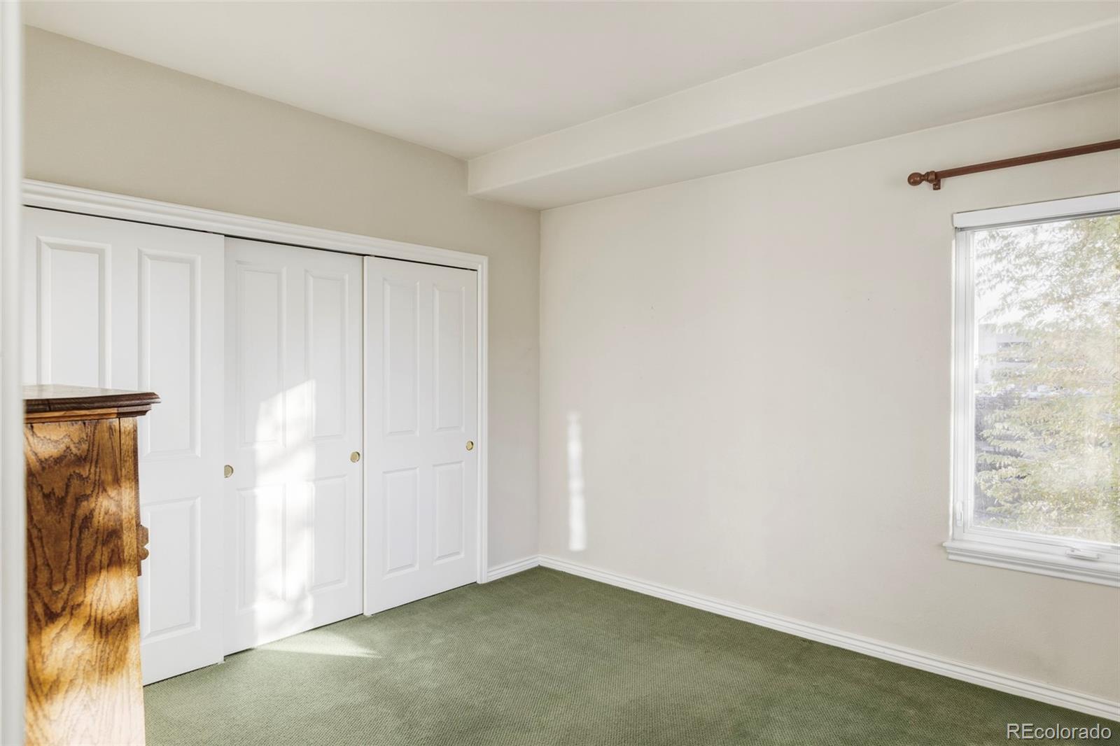 MLS Image #22 for 335  josephine street,denver, Colorado