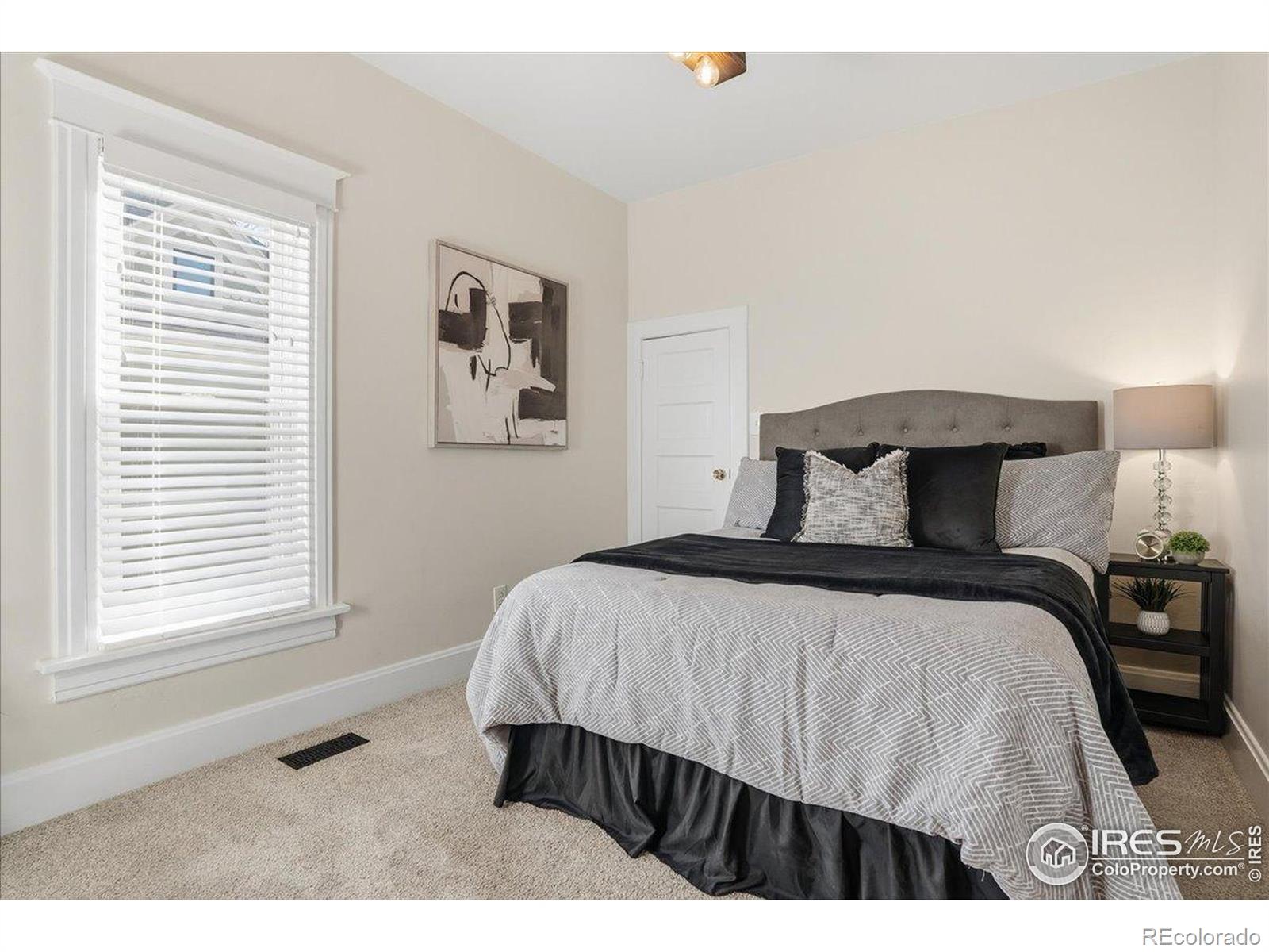 MLS Image #28 for 806 e myrtle street,fort collins, Colorado
